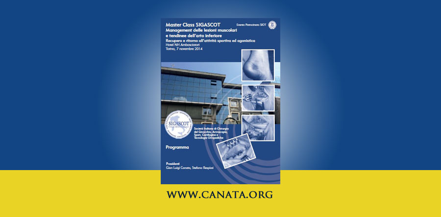Masterclass SIGASCOT – Torino 2014